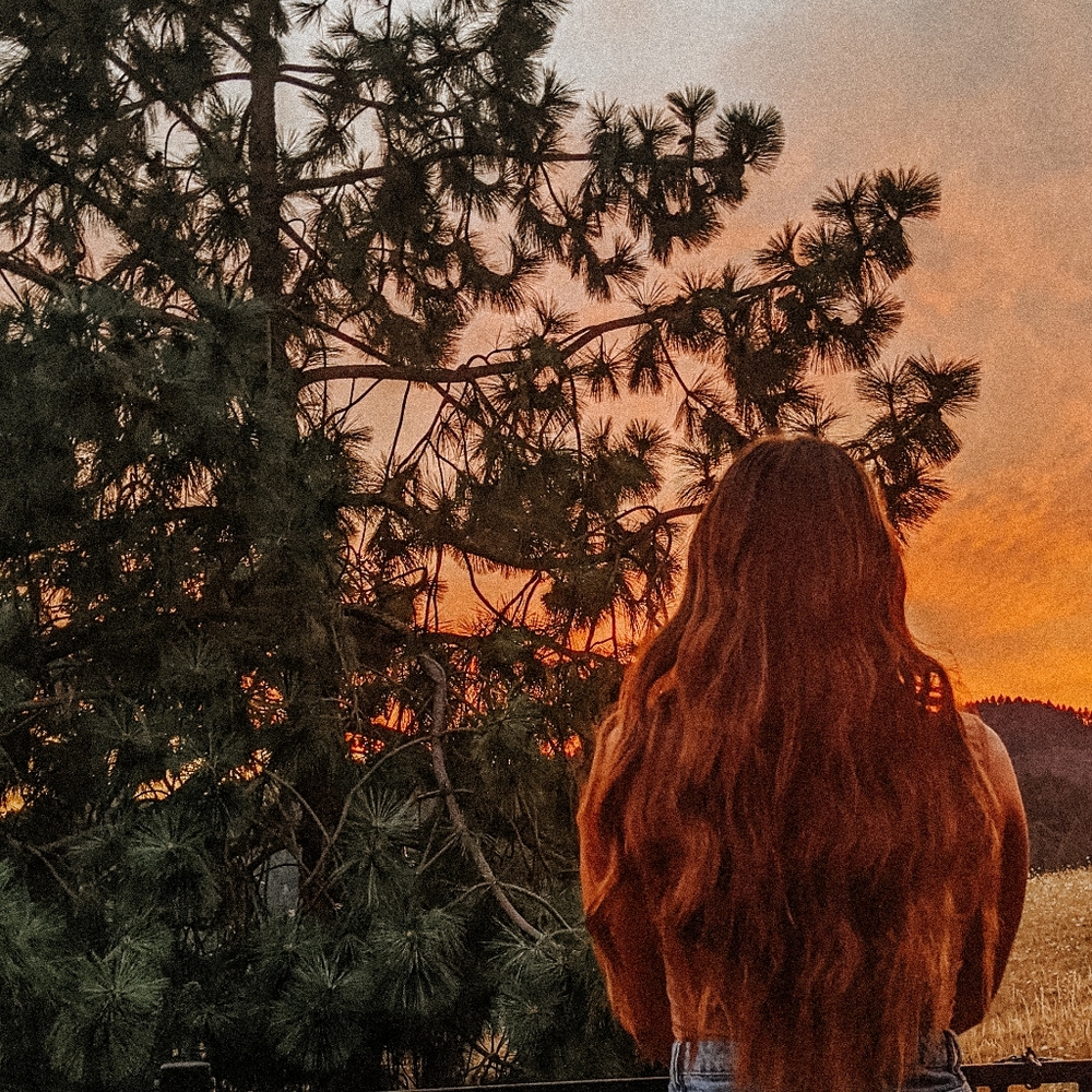 Meet your Posher, Ava